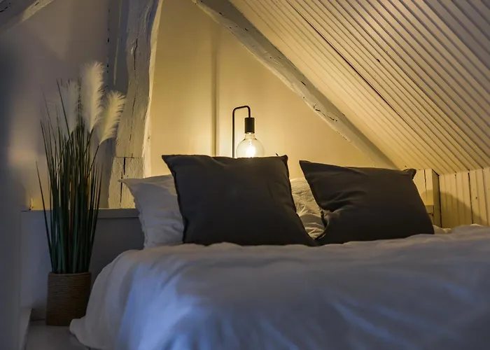 Appartement Le Saint-martin - Hypercentre - Netflix Tours